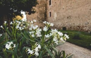 o_1a2vi3add18h26cfggd1tktfgf32-460x295